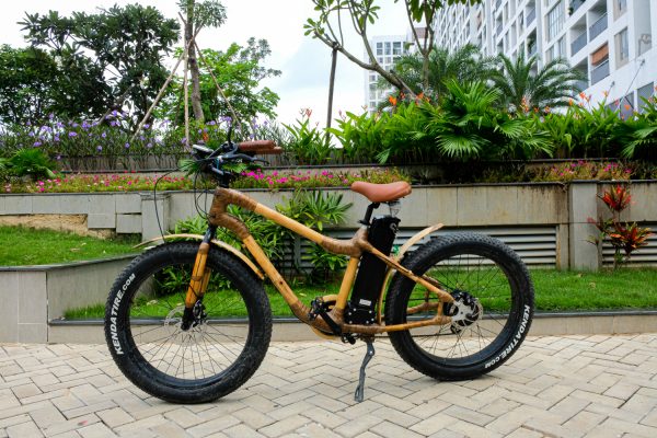 Electric Fat Bike