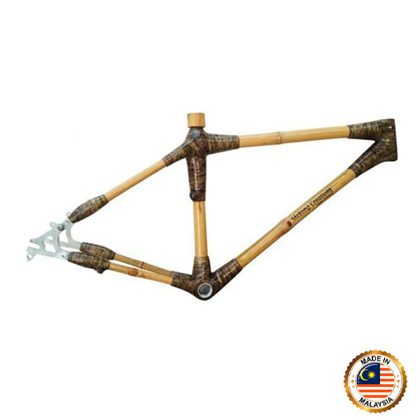 Mountain bike frame