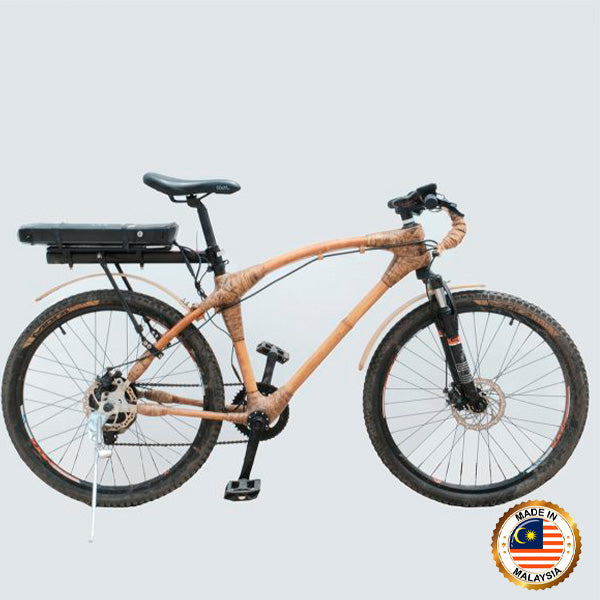 Electric Mountain Bike