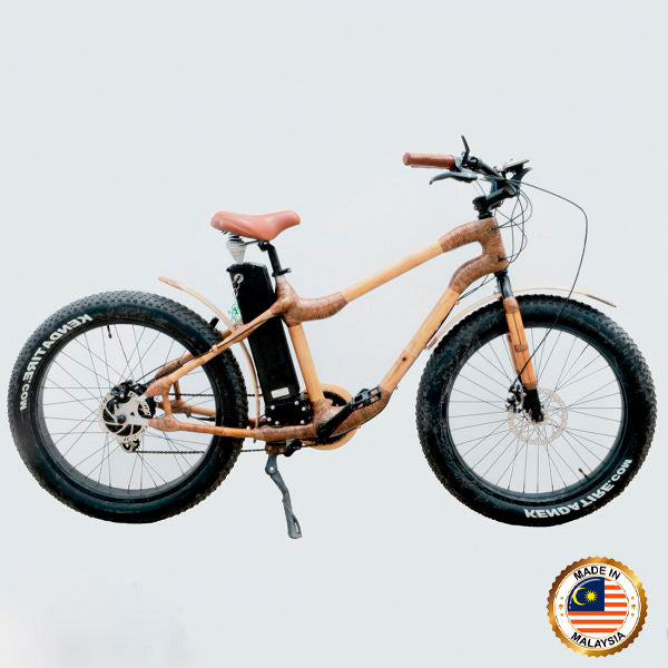 Electric Fat Bike